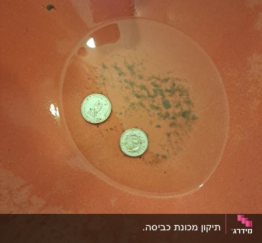 שתי מטבעות בתוך קערה עם מים